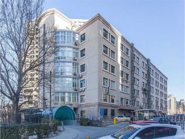 金山区天然贺百岁趣湿茶可靠吗